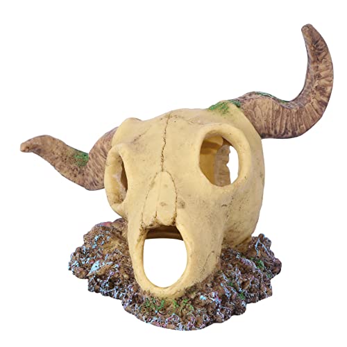 HOMOBABE 1 Stück Aquarium-Haustier-Ornament klein Schädelhöhle im Aquarium Aquarienlandschaft Sheep Skull Decoration Aquarium Decoration Aquariendekoration aus Harz Schaf-Schädel- von HOMOBABE
