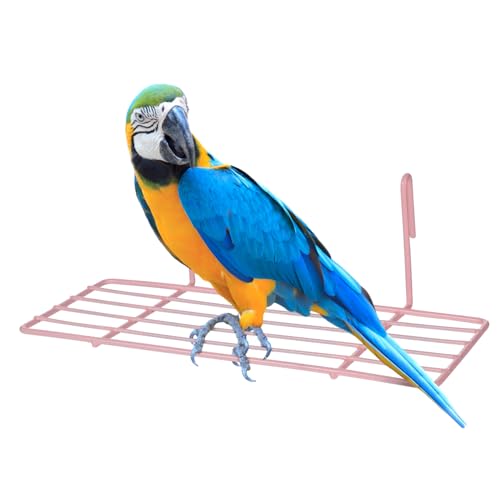 HOMOBABE 1 Stück Papageienvogelkäfig Sprechendes Papageienspielzeug Gitterdrahtplatte Drahtregal Für Käfige Vogelspielzeug Für Sittiche Vogelstangen Für Käfig Vogel Voliere Ara Rosa HOMOBABE 1 Stück Papageienvogelkäfig Sprechendes Papageienspielzeug Gitterdrahtplatte Drahtregal Für Käfige Vogelspielzeug Für Sittiche Vogelstangen Für Käfig Vogel Voliere Ara Rosa von HOMOBABE