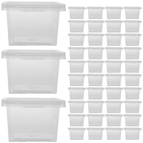 HOMOBABE 100 Stück Boxen Futterbox für Haustiere klein Spinne Frettchenkäfig Inkubator Schlange Tank Reptilienzuchtbox Insektenkäfig schleichtiere Zuchtboxen Reptilienboxen pp Transparent von HOMOBABE