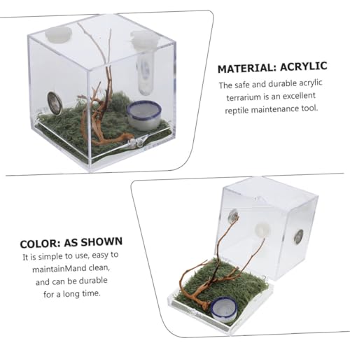 HOMOBABE 2 Sätze Transparente Reptilien Zuchtbox mit Atmungsaktivem Sprungspinnen Gehege und Fütterungsbehälter für Spinnen Insekten und Kleine Krabbeltiere Robust und Praktisch von HOMOBABE