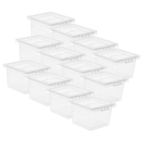 HOMOBABE 20er-Box Futterbox Für Haustiere Schildkröte Reptil Zucht Klein Vivarium Wächter Fütterung Futterbehälter Lebensraum Der Gottesanbeterin Geckobecken Pp Transparent von HOMOBABE