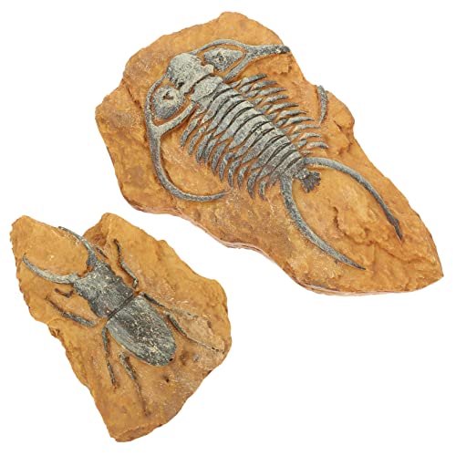 HOMOBABE 2Stücke Reptilien Box Teiliges Fossil Ornament aus Hochwertigem Harz Dekoration für Schlangen Schildkröten und Geckos Langlebig HOMOBABE 2Stücke Reptilien Box Teiliges Fossil Ornament aus Hochwertigem Harz Dekoration für Schlangen Schildkröten und Geckos Langlebig von HOMOBABE