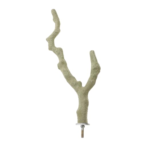 HOMOBABE Bird Barch Holzstift Vogelstand Pfoten Schleifgabel Sicht HOMOBABE Bird Barch Holzstift Vogelstand Pfoten Schleifgabel Sicht von HOMOBABE