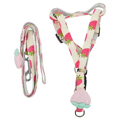 HOMOBABE Fruchtbarer Traktionsgürtel Hund klein groß gehen für Ausbildung Welpe führen Seil zum Transport von Haustieren Laufleine verstellbare Leine Polyester Rosa HOMOBABE Fruchtbarer Traktionsgürtel Hund klein groß gehen für Ausbildung Welpe führen Seil zum Transport von Haustieren Laufleine verstellbare Leine Polyester Rosa von HOMOBABE