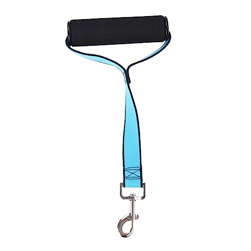 HOMOBABE Hundeleine aus Elastischem Terylen für Kleine Skyblau für Training und Zusätzliche bei Tierarztbesuchen Rostfreier Metallhaken HOMOBABE Hundeleine aus Elastischem Terylen für Kleine Skyblau für Training und Zusätzliche bei Tierarztbesuchen Rostfreier Metallhaken von HOMOBABE
