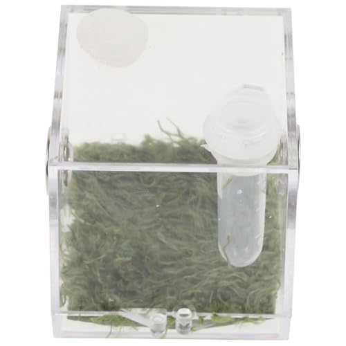 HOMOBABE Klarer Sprungspinnen Habitat Behälter Transparenter Insektenbox aus für Beobachtungen Nicht Haftendem Temperaturmesser Geeignet für Terrarien und Reptilienpflege HOMOBABE Klarer Sprungspinnen Habitat Behälter Transparenter Insektenbox aus für Beobachtungen Nicht Haftendem Temperaturmesser Geeignet für Terrarien und Reptilienpflege von HOMOBABE