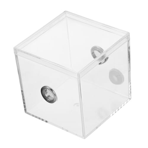 HOMOBABE Kleines Terrarium für Jumping Spinnen Hochdurchlässiger Insektenkäfig Geeignet für Indoor und Outdoor Nutzung Einfach zu Reinigen und Vielseitig Einsetzbar für Insektenzüchter HOMOBABE Kleines Terrarium für Jumping Spinnen Hochdurchlässiger Insektenkäfig Geeignet für Indoor und Outdoor Nutzung Einfach zu Reinigen und Vielseitig Einsetzbar für Insektenzüchter von HOMOBABE