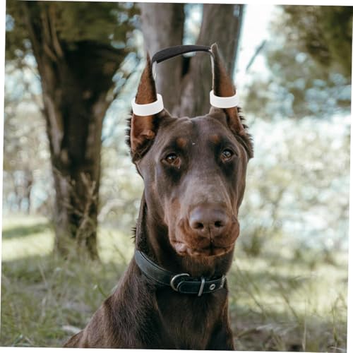 HOMOBABE Hund Ohr Unterstützung Dog Ear Stand Support Tool Für Rassen Mit Speziellem Klebeband Zur Einfachen Anwendung Und Komfortablen Anpassung Für Stehende Ohren von HOMOBABE