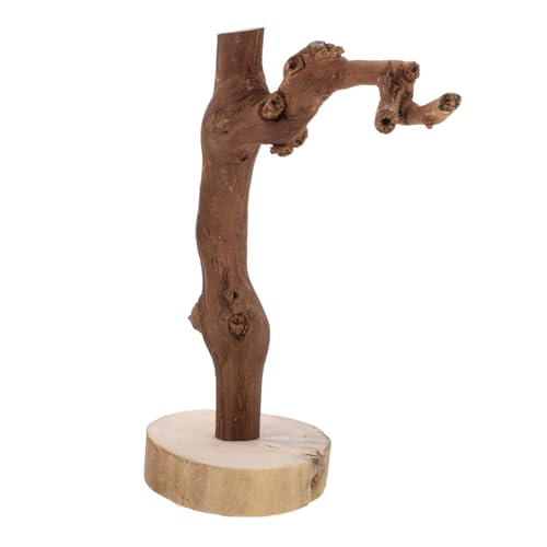 HOMOBABE Parrot Training Stand Aus Holz Stabiler Tischvogelständer Für Wellensittiche Und Nymphensittiche Sicheres Spielzeug Für Vögel Für Vogelkäfige Und Schreibtische von HOMOBABE