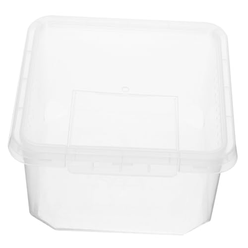 HOMOBABE Reptilien Fütterungsbox für Insekten Tragbare Zuchtbox aus Leichtem Robustem mit Hoher Sichtbarkeit für Geckos Spinnen und Andere Kleintiere Sicheres und Terrarium für HOMOBABE Reptilien Fütterungsbox für Insekten Tragbare Zuchtbox aus Leichtem Robustem mit Hoher Sichtbarkeit für Geckos Spinnen und Andere Kleintiere Sicheres und Terrarium für von HOMOBABE