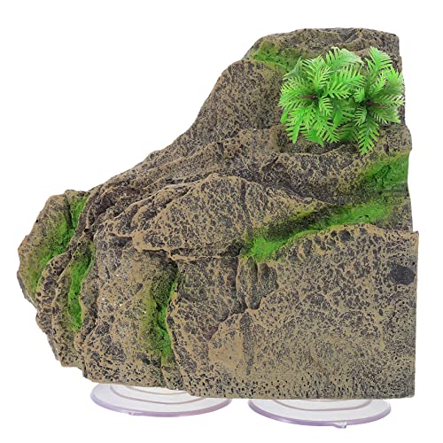HOMOBABE Schildkröten Sonnenplattform aus Resin Kletterplattform für Aquarien und Terrarien Saugnäpfen für Ansprechende Dekoration von Reptiliengehegen und Fischbecken HOMOBABE Schildkröten Sonnenplattform aus Resin Kletterplattform für Aquarien und Terrarien Saugnäpfen für Ansprechende Dekoration von Reptiliengehegen und Fischbecken von HOMOBABE