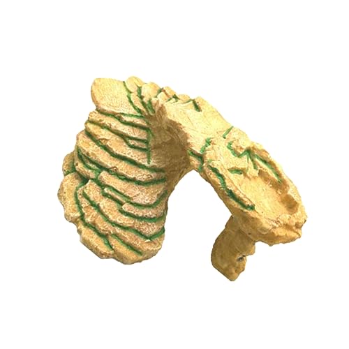 HOMOBABE Schildkrötenbadeplattform Aus Aquarium Ornament Und Fischversteckhöhle Für Reptilien Und Aquarien Dekorative Für Schildkrötenumgebungen von HOMOBABE