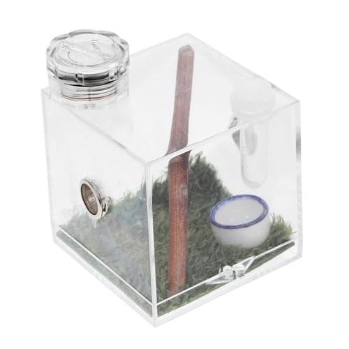 HOMOBABE Spinnenlebensraum Box für Florida Sprungspinnen Hochtransparente Aufzuchtbox Luftfeuchtigkeitssystem Teiliges zu Reinigen Beobachten HOMOBABE Spinnenlebensraum Box für Florida Sprungspinnen Hochtransparente Aufzuchtbox Luftfeuchtigkeitssystem Teiliges zu Reinigen Beobachten von HOMOBABE