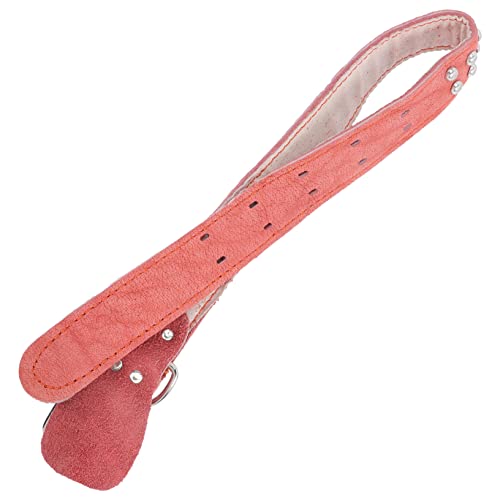 HOMOBABE Verstellbares Hundehalsband für Große Hunde Hautfreundlich Atmungsaktiv Festen Schickes Design für Welpen und Erwachsene Hunde von HOMOBABE