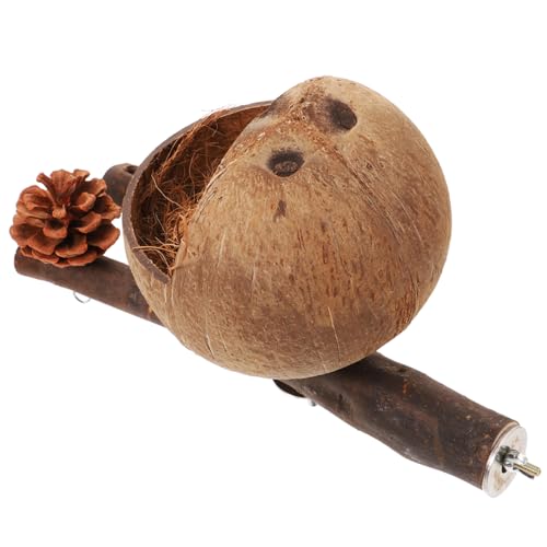 HOMOBABE Vogelspielzeug Holzständer Für Vögel Dekorative Sitzstange Für Vogelkäfig Nistplatz Und Spielzeug Für Wellensittiche Und Nymphensittiche Installieren HOMOBABE Vogelspielzeug Holzständer Für Vögel Dekorative Sitzstange Für Vogelkäfig Nistplatz Und Spielzeug Für Wellensittiche Und Nymphensittiche Installieren von HOMOBABE