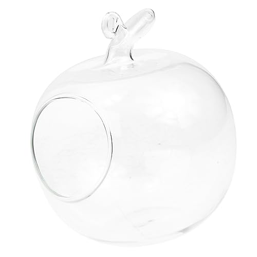 HOMOCONO Apfel Form Glasblume Vase Kreative Terrarium Flasche für Hydroponik Dekorativer Pflanzenbehälter für Zuhause Leichte und Gartenidee für Sukkulenten und Orchideen von HOMOCONO