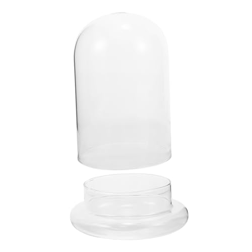 HOMOCONO Mikro Landschaftsflasche aus DIY Terrarium für Pflanzen Große Kuppel mit Öffnung Kreative Schreibtischdekoration für Hochzeiten und Büro Geeignet von HOMOCONO