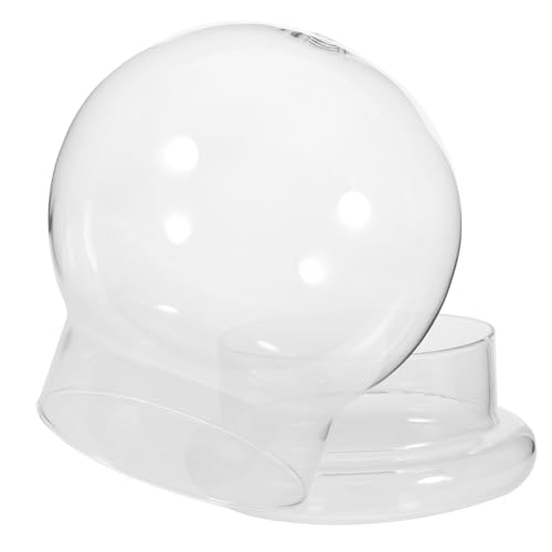 HOMOCONO Terrarium Flasche Mit Klarglas-Dome Für Mikrolandschaft Dekorativ Und Für Moos Und Landschaftsflaschen HOMOCONO Terrarium Flasche Mit Klarglas-Dome Für Mikrolandschaft Dekorativ Und Für Moos Und Landschaftsflaschen von HOMOCONO