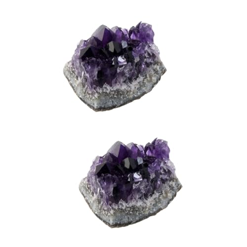 HOMSFOU 2st Amethyst-Cluster Edelsteine Achat Violett Heilen Kristall von HOMSFOU