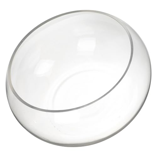 HOMSFOU Fischbecken Aus Glas Fishbowl-vasen Blumenbehälter Klares Goldfischglas Vase Glas Fischbecken Glas Aquarienschale Terrarienvase Die Blase Großes Fischbecken Gewöhnliches Glas Büro HOMSFOU Fischbecken Aus Glas Fishbowl-vasen Blumenbehälter Klares Goldfischglas Vase Glas Fischbecken Glas Aquarienschale Terrarienvase Die Blase Großes Fischbecken Gewöhnliches Glas Büro von HOMSFOU