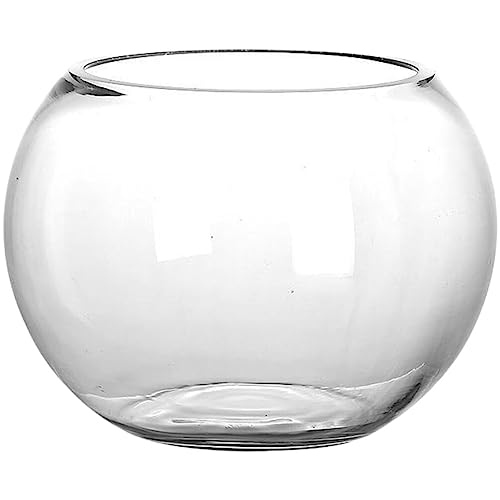 Vorratsbehälter Glas-Fischglas Blase Goldfischglas Rundes Glas Terrarium Blumenvase Hydrokultur-Pflanzgefäß Aquarium Bonbonglas Wunschflasche Für Mikrolandschaft 20 cm von HOMSFOU