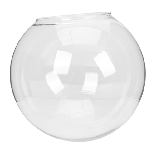 HOMSFOU Glaslampenschatten Aquarium Deckenleuchte klarer Lampenschirm Sukkulenter Pflanzentopf Mini led-Light Schlafzimmer Beleuchtung LED-Vorhangleuchten Lampenabdeckung Transparent von HOMSFOU