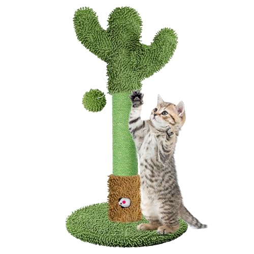 HOMYHANDS Kratzbaum für Indoor-Katzen und Kätzchen, 55 cm hoch, Katzenkratzbaum mit Sisalseil, Palme, Katzenkratzbaum mit hängendem Ball für Kätzchen, klein – 55 cm HOMYHANDS Kratzbaum für Indoor-Katzen und Kätzchen, 55 cm hoch, Katzenkratzbaum mit Sisalseil, Palme, Katzenkratzbaum mit hängendem Ball für Kätzchen, klein – 55 cm von HOMYHANDS