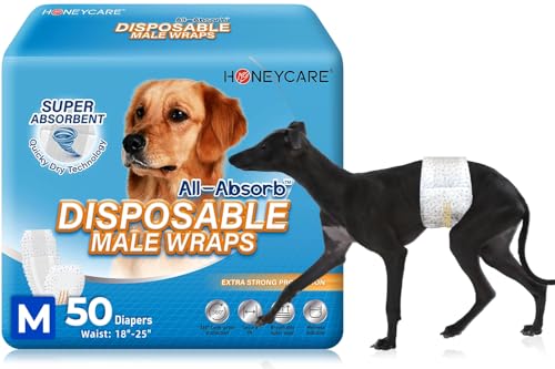 HONEY CARE All-Absorb A25 Rüdenbandage, 50 Stück, Größe M, Weiß HONEY CARE All-Absorb A25 Rüdenbandage, 50 Stück, Größe M, Weiß von HONEY CARE