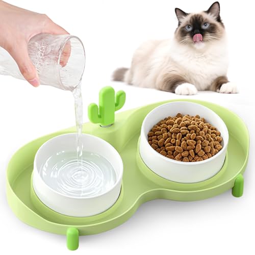 Erhöhte Katzennäpfe für Indoor-Katzen (grün) von HONGDDY