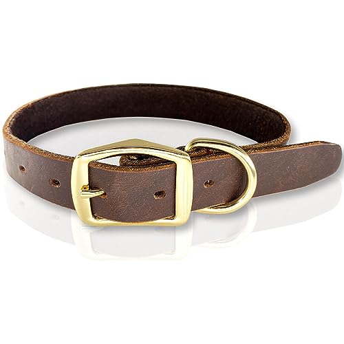 Hundehalsband aus Leder, strapazierfähig, vollnarbig, ultraweich und bequem, echtes Rindsleder, Metallschnalle, dicker Gürtelkragen für kleine, mittelgroße und große Haustiere (Halsumfang von 33–48,3 von HONGSAGE