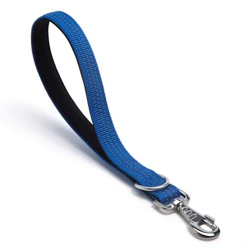 Hundeleine, robuster Metallhaken, reflektierende Trainingsleine, Nylon, gepolsterter Griff, kurze Hundeleine, Blau, 30,5 cm von HONGSAGE