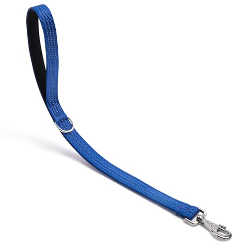 Hundeleine, robuster Metallhaken, reflektierende Trainingsleine, Nylon, gepolsterter Griff, kurze Hundeleine, Blau, 61 cm von HONGSAGE
