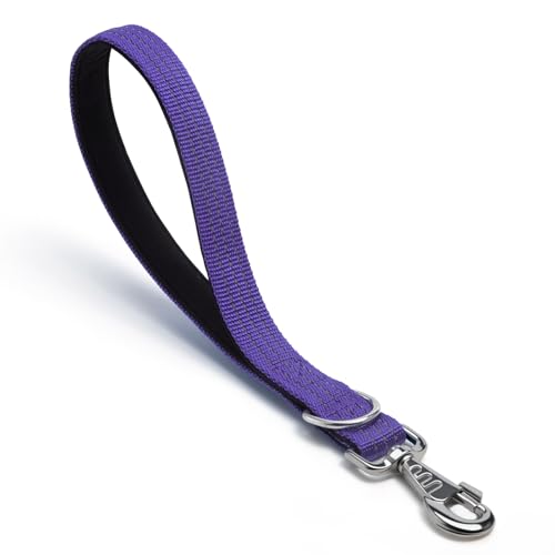 Hundeleine, robuster Metallhaken, reflektierende Trainingsleine, Nylon, gepolsterter Griff, kurze Hundeleine, Lila, 30,5 cm von HONGSAGE