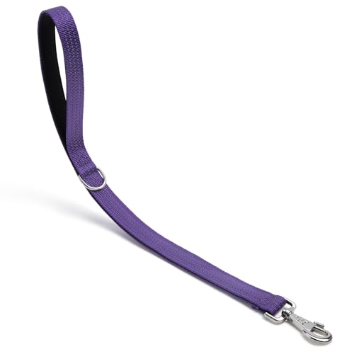 Hundeleine, robuster Metallhaken, reflektierende Trainingsleine, Nylon, gepolsterter Griff, kurze Hundeleine, Lila, 61 cm von HONGSAGE