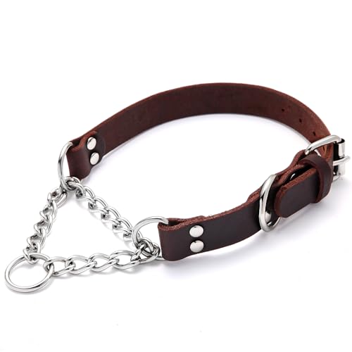 Martingale-Hundehalsband aus Leder, echte und Edelstahlkette, Martingale-Halsband, kein Ziehen, verstellbar, rutschfest, Trainings- und Spazierengehhalsband für kleine, mittelgroße und große Martingale-Hundehalsband aus Leder, echte und Edelstahlkette, Martingale-Halsband, kein Ziehen, verstellbar, rutschfest, Trainings- und Spazierengehhalsband für kleine, mittelgroße und große von HONGSAGE
