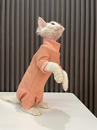 HONGSUO Sphinx Katzenkleidung haarlose Katze Devon Baumwolle einteiliges Sweatshirt Bauchschutz 4-beinige Kleidung, Farbe 1,XXXL+ von HONGSUO