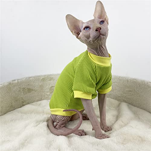 HONGSUO Sphinx Katzenkleidung haarlose Katze Devon Frühjahr und Herbst Pullover Bottoming Shirt Kurze Füße, grün (normal), XL von HONGSUO