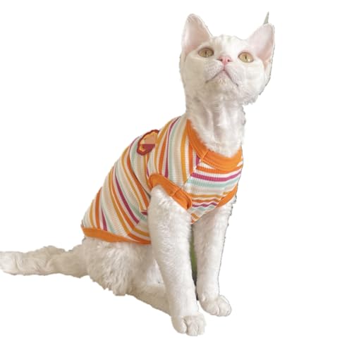 HONGSUO Sphynx-Katzenkleidung, Devon, Haarlose Katze, Reine Baumwolle, Gestreift, Stretch-Weste, Ausziehbar, Bequem,orangefarbene Streifen,XXL von HONGSUO