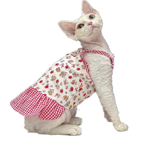 HONGSUO Sphynx-Katzenkleidung Devon/Haarlose Katze Erdbeer-Hosenträger Niedliche Anti-Aus-Hauskleidung,Rock,XXXL+ HONGSUO Sphynx-Katzenkleidung Devon/Haarlose Katze Erdbeer-Hosenträger Niedliche Anti-Aus-Hauskleidung,Rock,XXXL+ von HONGSUO