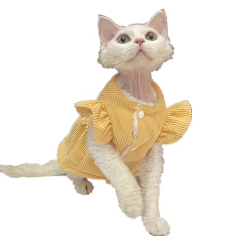 HONGSUO Sphynx-Katzenkleidung Devon/haarlose Katze Winter-Cord-Spitzenrock Plus Samtverdicktes Kleid,Gelb,S+ HONGSUO Sphynx-Katzenkleidung Devon/haarlose Katze Winter-Cord-Spitzenrock Plus Samtverdicktes Kleid,Gelb,S+ von HONGSUO