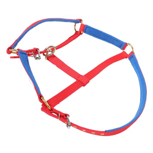 HONMEET Pferde Reiten Verstellbares Halsband Für Pferdetraining Tragbares Halfter Zubehör L Größe Rot von HONMEET