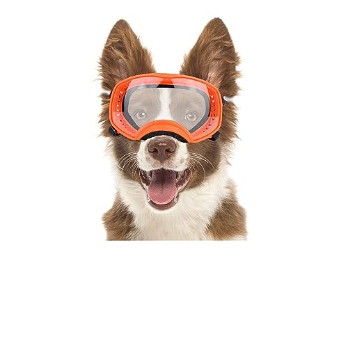 HOOBN Interessante Haustierhut, transparente Hundebrille, mittelgroße und große Hundesport-Sonnenbrille, weiche Haustierbrille, tiefe Augenmuscheln für Hunde, Katzen und Hundebekleidung (Farbe: Gelb) von HOOBN