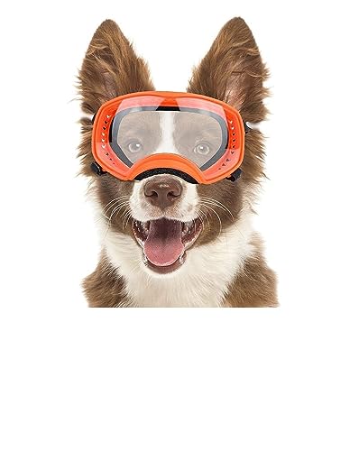 Hut für Haustiere, Sport-Sonnenbrille für mittelgroße Hunde, Augenmuscheln, winddicht, für mittelgroße bis große Hunde, Katzen und Hunde von HOOBN
