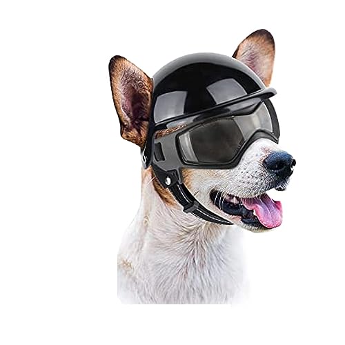 Hut für Haustiere, interessant, Hundebrille für kleine Hunde, mit 2 Sonnenbrillen und Helm für kleine und mittelgroße Hunde, zum Fahren im Freien, Spaziergänge für Katzen und Hunde, V von HOOBN
