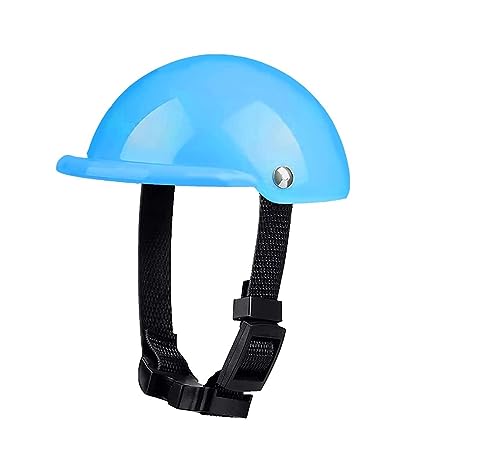 Hut für Haustiere, interessant, Set mit Helm und Brille für Haustiere, Motorradhelm, gepolstert, für Haustiere und Sonnenbrille, Mütze für Haustiere von HOOBN