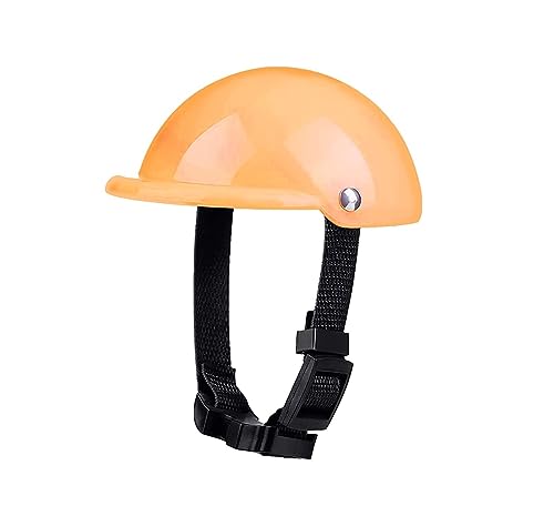 Hut für Haustiere, interessant, Set mit Helm und Brille für Haustiere, Motorradhelm, gepolstert, für Haustiere und Sonnenbrille, Mütze für Haustiere von HOOBN