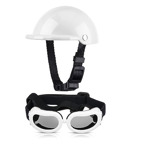Hut für Haustiere, interessant, Set mit Helm und Brille für Haustiere, Motorradhelm, gepolstert, für Haustiere und Sonnenbrille, Mütze für Haustiere von HOOBN