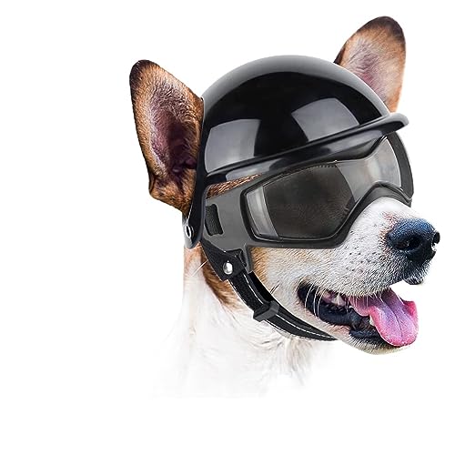Hut für Haustiere, interessant, Sonnenbrille für Hunde, Haustiere, Helm, Set mit Hundebrille, Staub, Wind, Hund, Brille, Schutzbrille für Hunde, Katzen und Hunde, Kleidung (Farbe: M, Schwarz, Größe: M von HOOBN