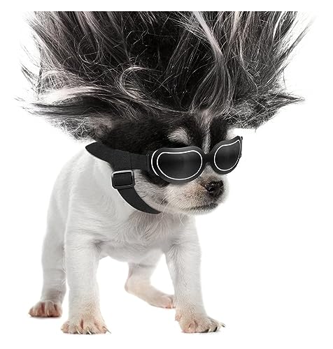Hut für Haustiere, interessant, Sonnenbrille für Hunde, Schutzbrille für kleine Hunde, mit verstellbarem Band, winddicht, modisch und cool, für Katzen und Hunde, Kleidung von HOOBN