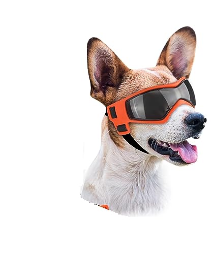 Hut für Haustiere, interessant, Sonnenbrille für kleine Hunde, kleine Rassen, Brille für kleine Hunde, Welpen, Reiten im Freien von HOOBN